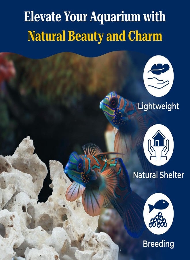 VAYINATO® 2 Kg Sansibar White Hollow Rock for Aquascaping - Natural Decorative Rocks for Aquarium & Cichlid Tanks | Porous & Durable River Rock for Freshwater & Marine Setups - Image 2